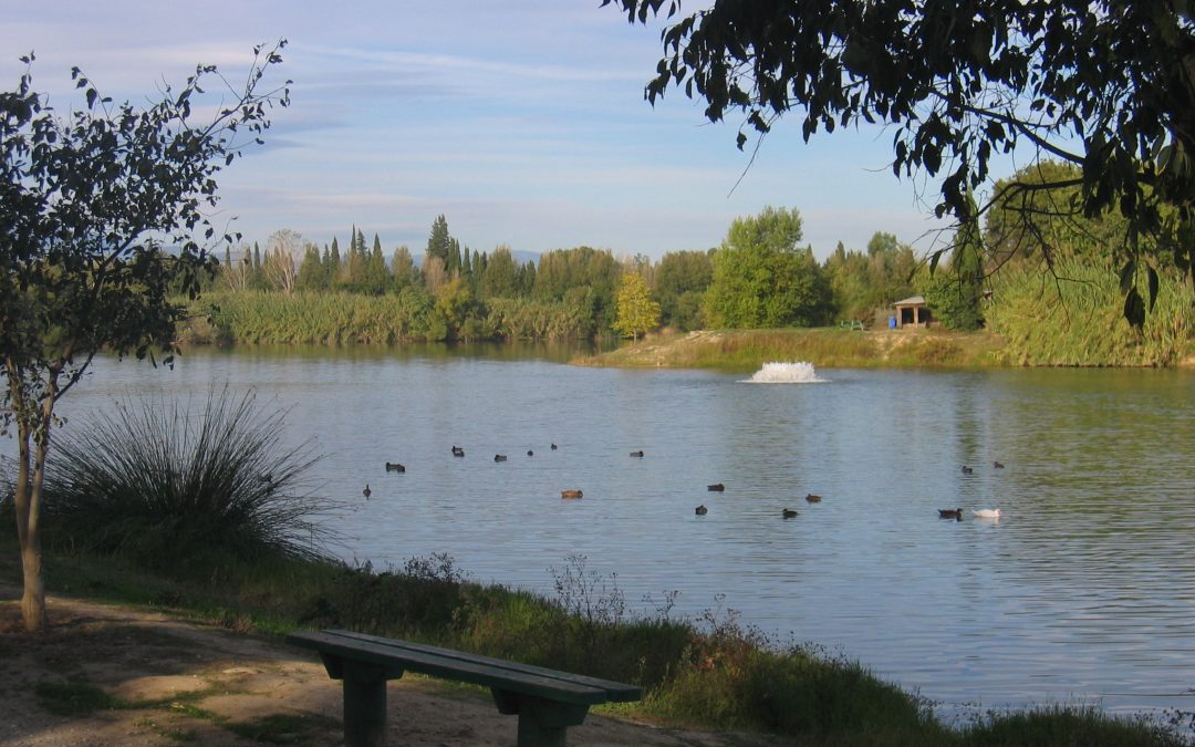 ACCES ET CIRCULATION AU PLAN D&rsquo;EAU INTERDITS