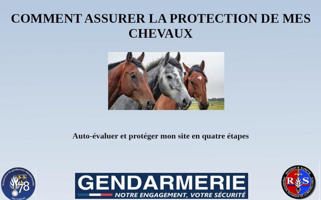 ACTES DE CRUAUTE SUR DES EQUIDES :RECOMMANDATIONS DE LA GENDARMERIE NATIONALE