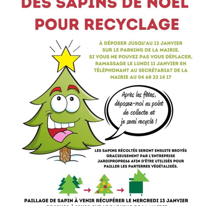 Collecte des Sapins de Noël pour recyclage