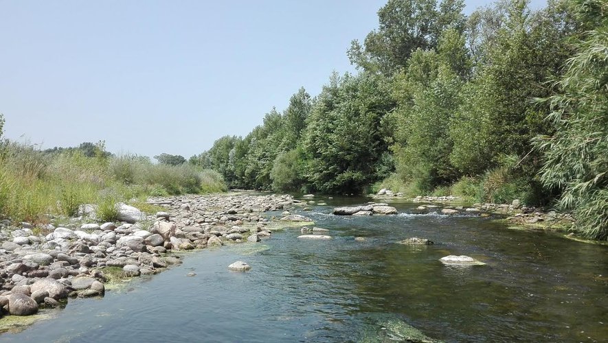 RISQUE SANITAIRE sur le fleuve du Tech