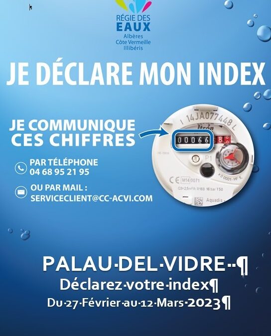 DECLAREZ VOTRE INDEX
