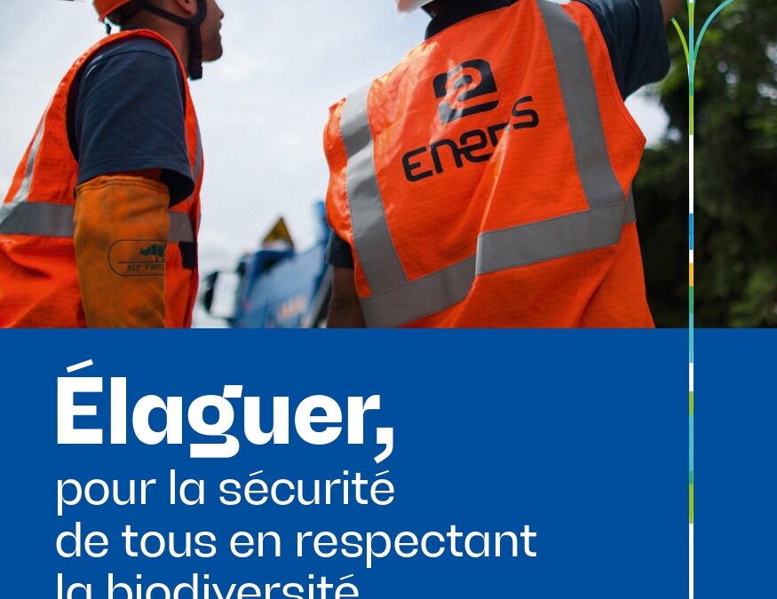 Règles et distances entretien de la végétation à proximité des lignes électriques